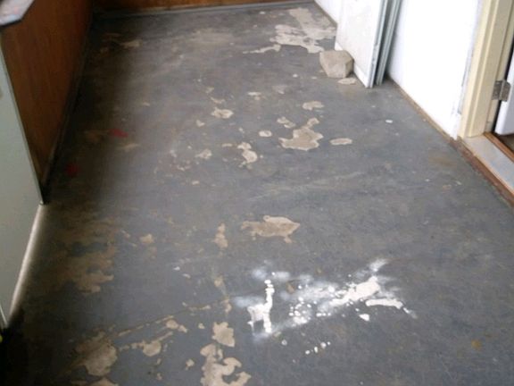 5th image of 1307 N Denny St