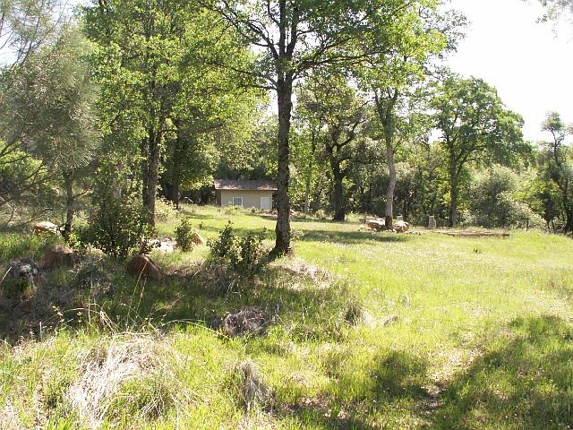 2nd image of Sandra Lane West