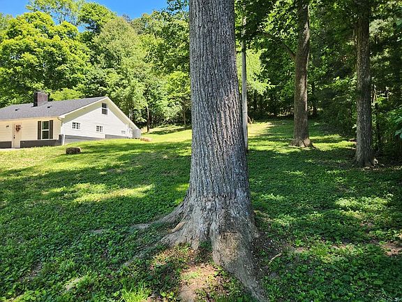3rd image of 1606 Luther Rd