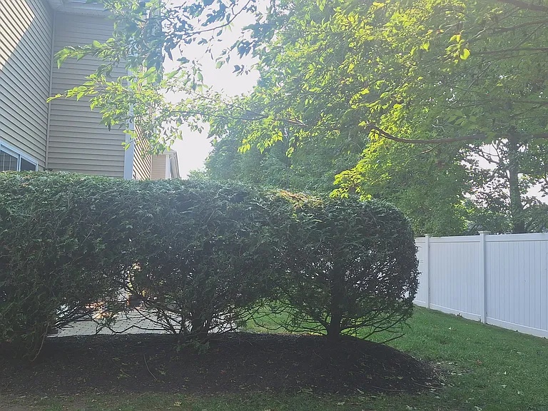 180 Park St #6 — Photo 5