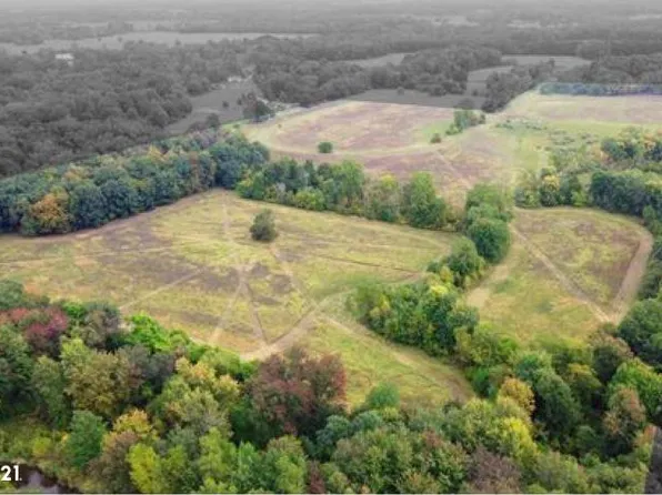 0 Gale Rd, Morrice, MI 48857