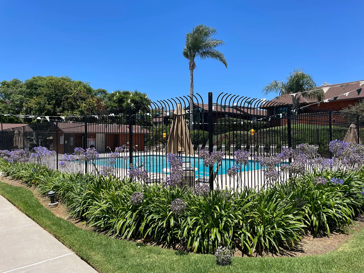 2 bed, 1.5 bath, 1258 sqft, $4,850 — Photo 3