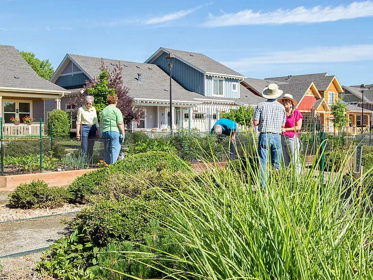 Lifestyle | Community Garden