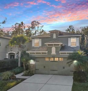 7878 Tuscany Woods Dr, Tampa, FL, 33647
