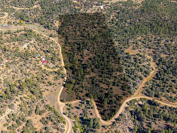 3rd image of Pine Needles Rd #1091