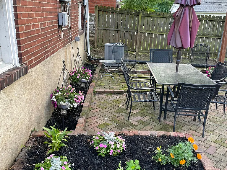 Claytonia Ter — Photo 24