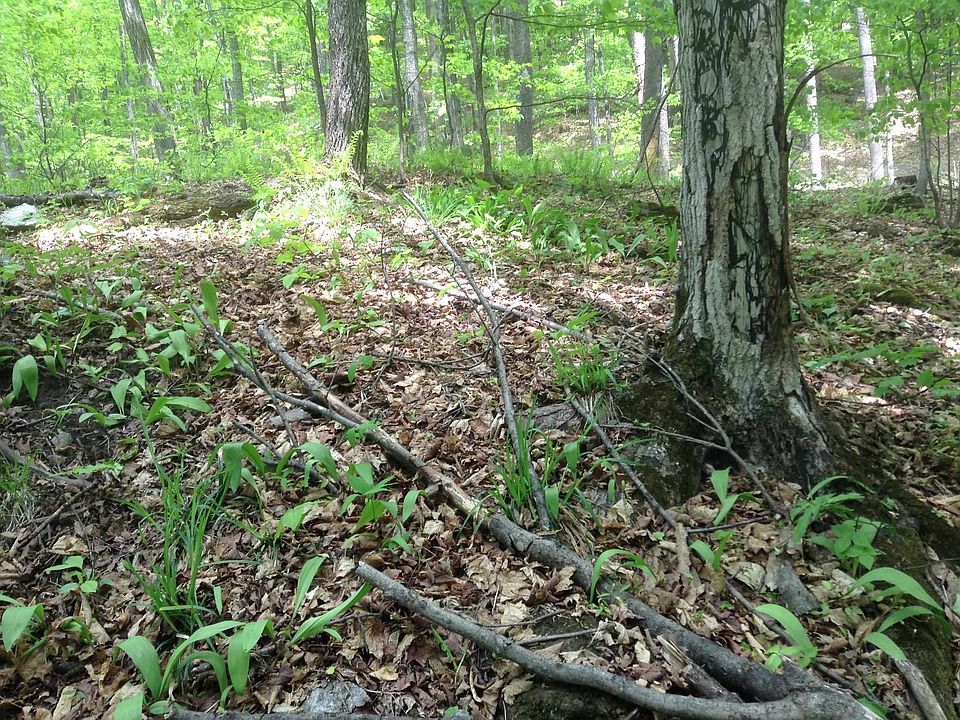 1st image of 475 Threshold Way