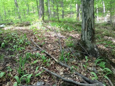 475 Threshold Way, Corinth, VT, 05039