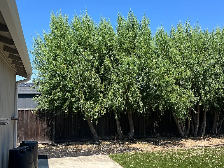 5552 Idlewild Ave — Photo 17