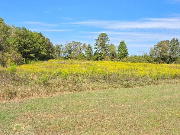 0 County Road 15 #1, Maplesville, AL 36750
