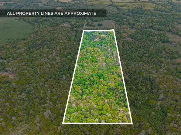 208 Tomsic Rd, Indian Mound, TN 37079