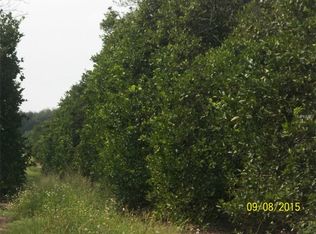 Water Hole Rd, Frostproof, FL 33843