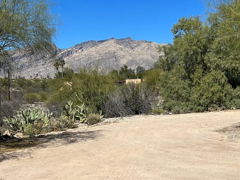 Catalina Mountain views