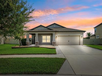 31031 Parrot Reef Ct, Wesley Chapel, FL, 33545