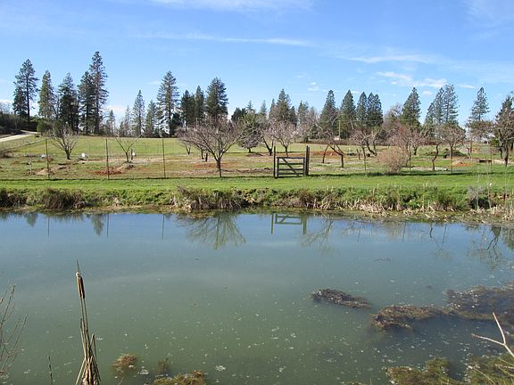 Lower pond w/ orchard behind