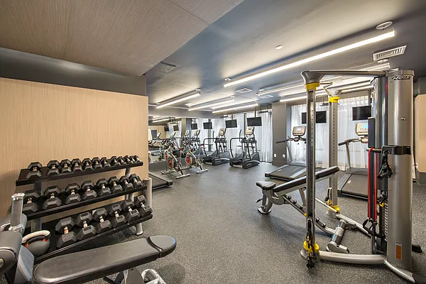 Rented by Monarch Realty Group | media 16