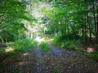 4498 Nicholson Rd LOT WP001, Canisteo, NY 14823