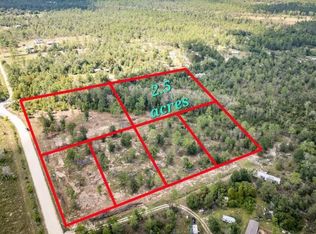 1462 NW Lake Lillian Rd, Fountain, FL 32438