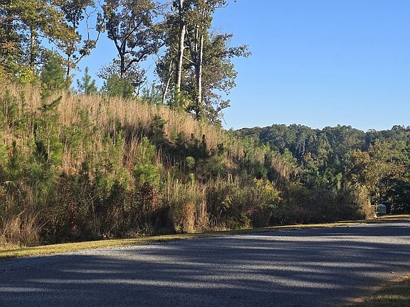 4th image of 86 River Overlook Ln