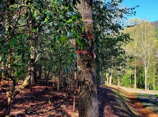 H 5 River Sound Vlg, Hayesville, NC 28904