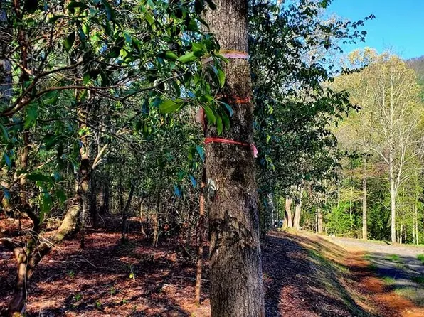 H 5 River Sound Vlg, Hayesville, NC 28904