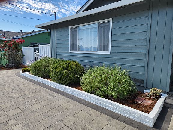 Front yard flower bed