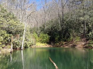 392 Grassy Branch Rd, Topton, NC 28781