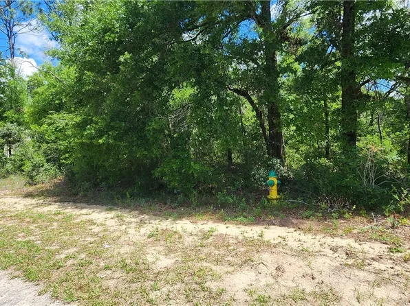 8619 N Dove Orchid Dr, Citrus Springs, FL 34434