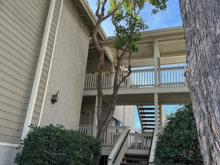 923 Lotus Cir — Photo 28