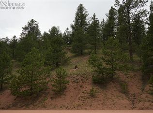 557 Gold King Dr, Cripple Creek, CO 80813