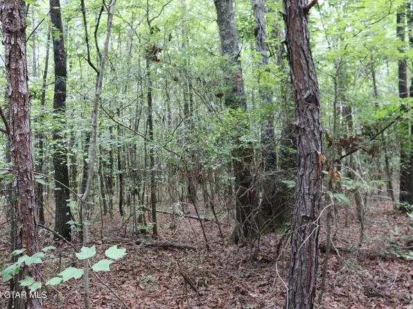 Dixie Rd, Woodland, MS 39776