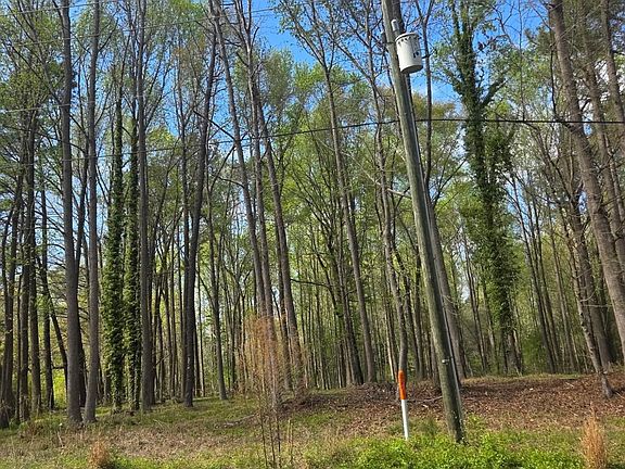 5th image of 5721 Us Highway 301 N Lot 6