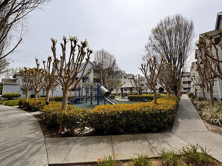 606 Arcadia Ter #306 — Photo 4