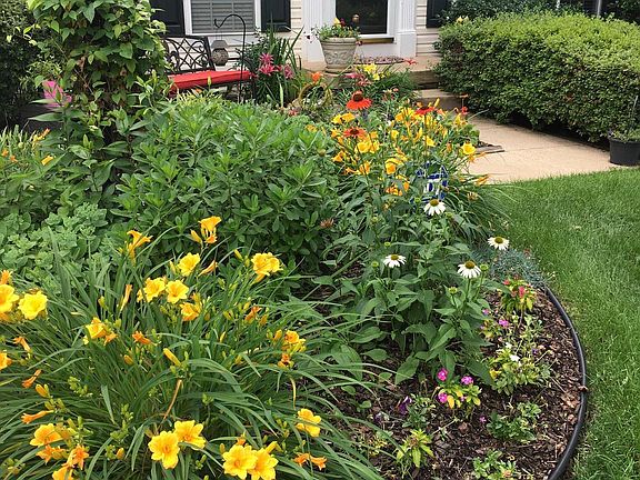 3rd image of 43735 Tolamac Dr