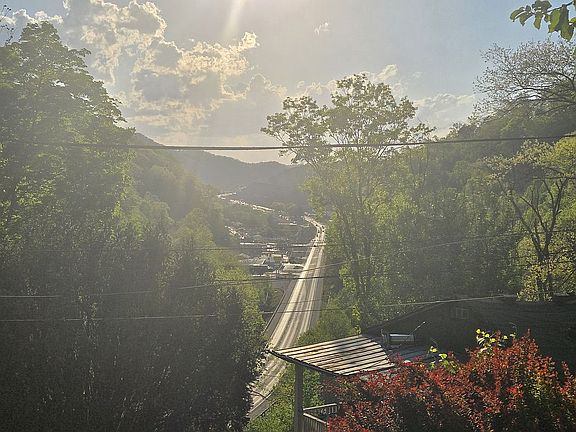 2nd image of 169 Roark Ridge Rd