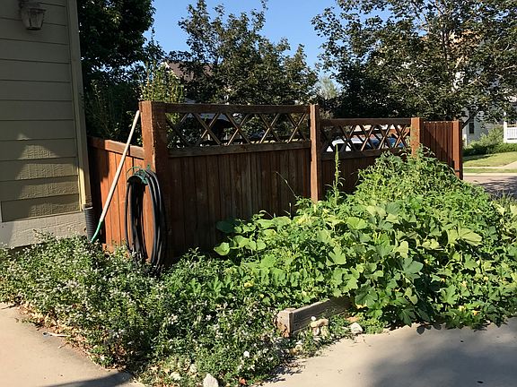 Vegetable garden space!