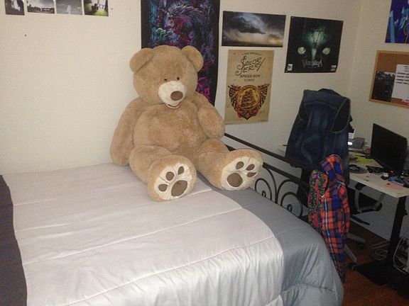 4th image of 3807 N Leavitt St APT 1