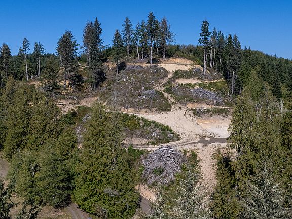 5th image of 1207 Sandlake Rd