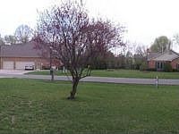 1st image of 125 Swallowfield Dr