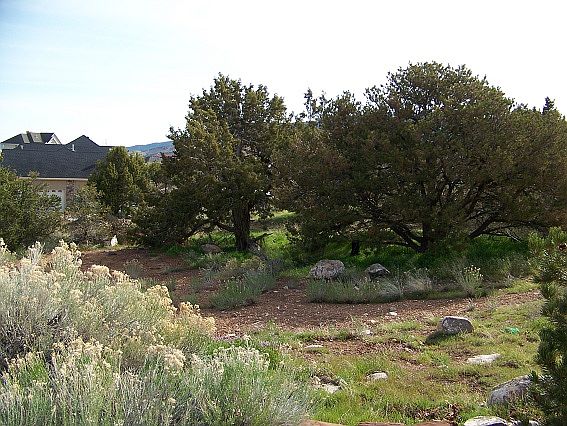 1st image of CEDAR HILLS DRIVE And Heavenly View Cir #B1400-0034
