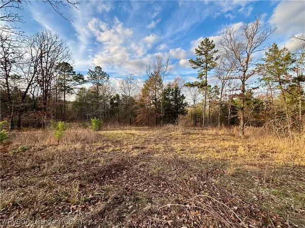 100 White Rd, Heavener, OK 74937