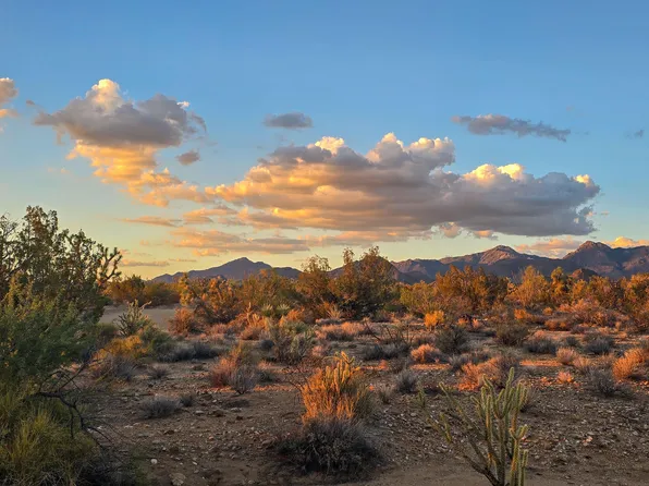 166 S Cattle Crossing Rd, Yucca, AZ 86438