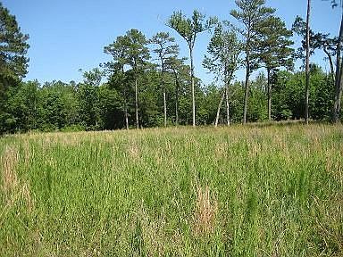 Acreage Perfect for Custom Dream Home