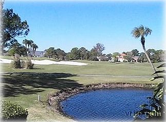 View of 7th Green Sawgrass East Course