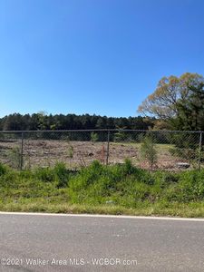 Blackwell Dairy Rd, Jasper, AL, 35504