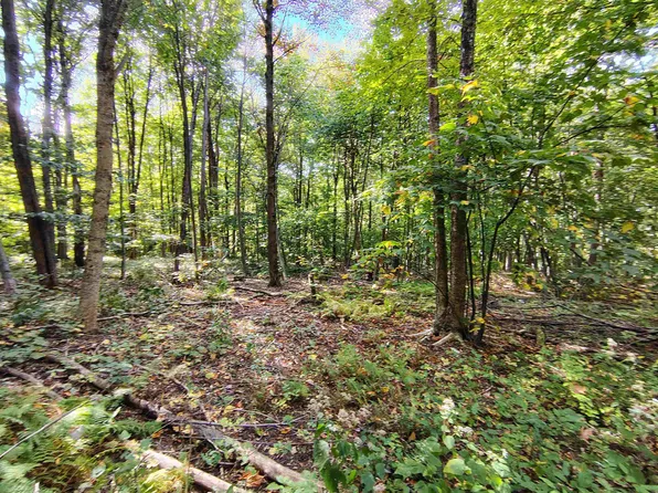 0 Mason Hill Road North #8, Pownal, VT 05261-0233