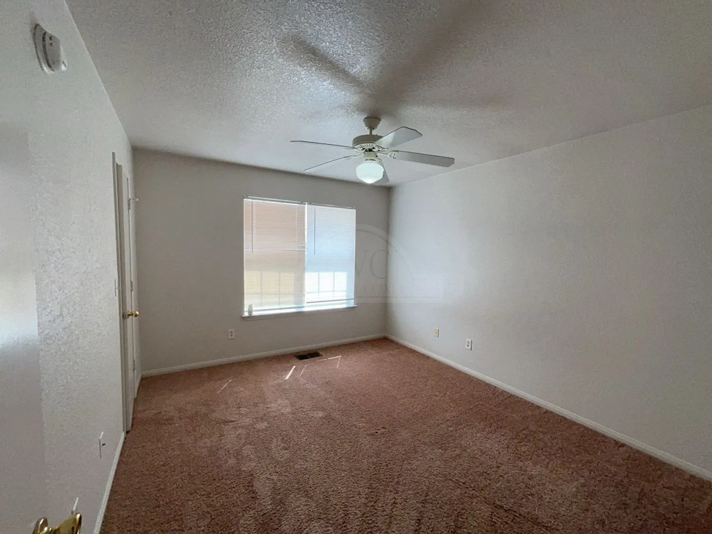 2803 Cantabrian, Killeen — Photo 3