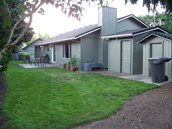 Back yard