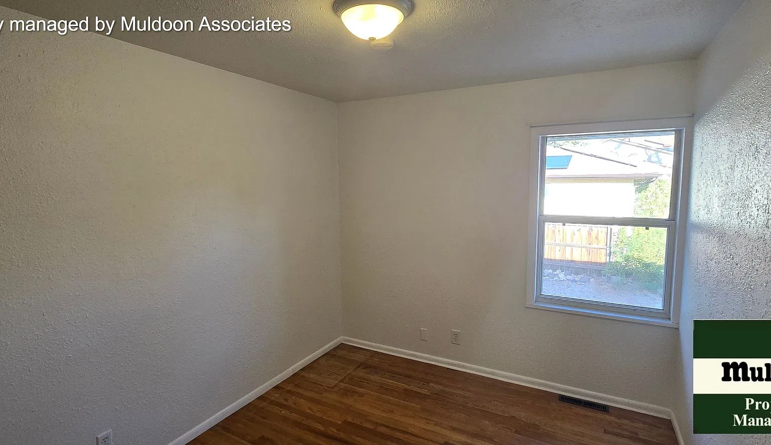 4 bed 2 bath Belmont home available Now! — Photo 4