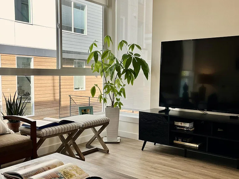 65" Smart TV with Roku
